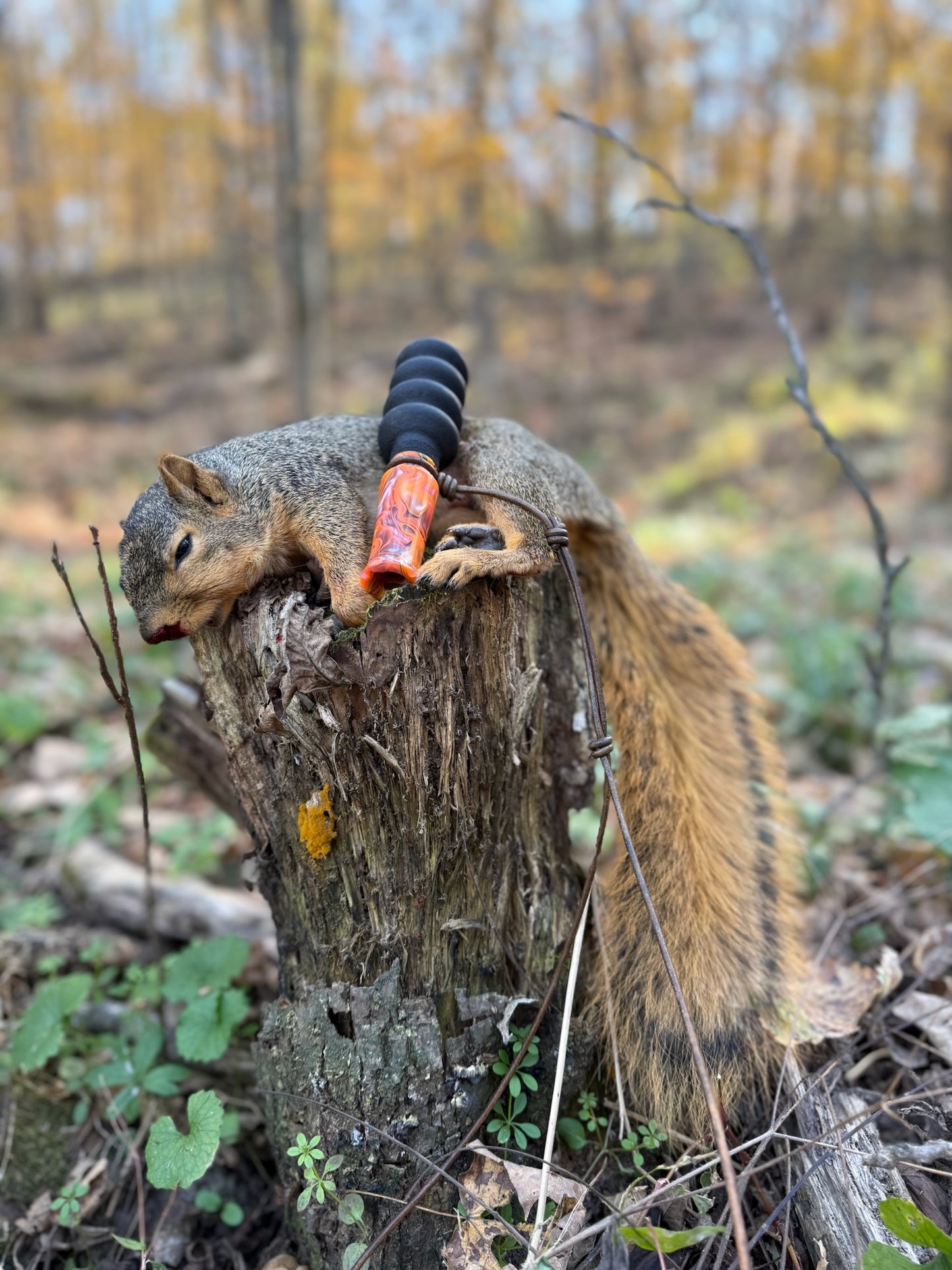 Double Reed Squirrel Barker